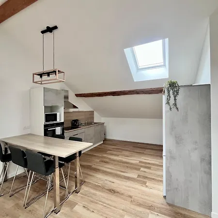Apartment Rooftop A Ciel Ouvert Oyonnax