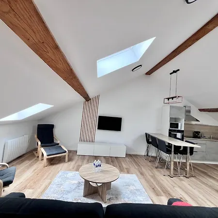 Rooftop A Ciel Ouvert Apartment Oyonnax